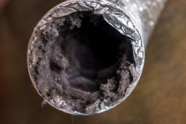 Best Commercial HVAC Duct Cleaning  in Oakes, ND