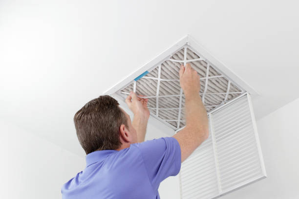 Best Air Duct Mold Removal  in Oakes, ND